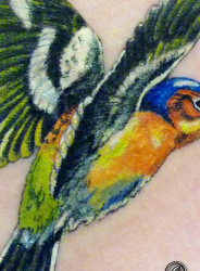 02   Tiere   Tattoo Hamburg Skinworxx